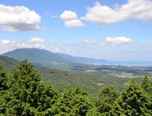 遠方に琵琶湖を望む